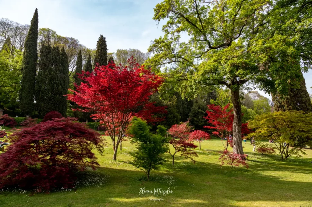 lake garda foliage