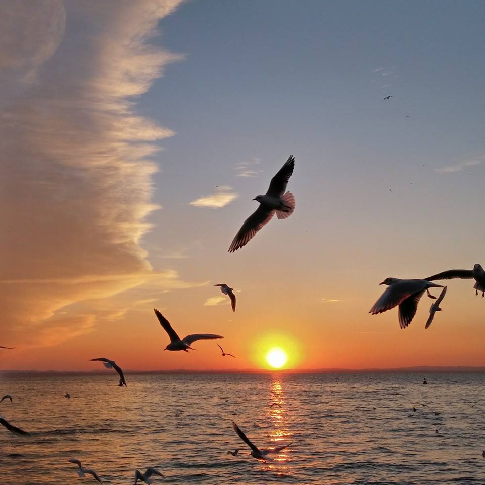 Giro del Lago di Garda seguendo il tramonto Giro del Lago di Garda seguendo il tramonto