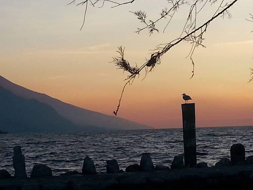 Giro del Lago di Garda seguendo il tramonto Giro del Lago di Garda seguendo il tramonto