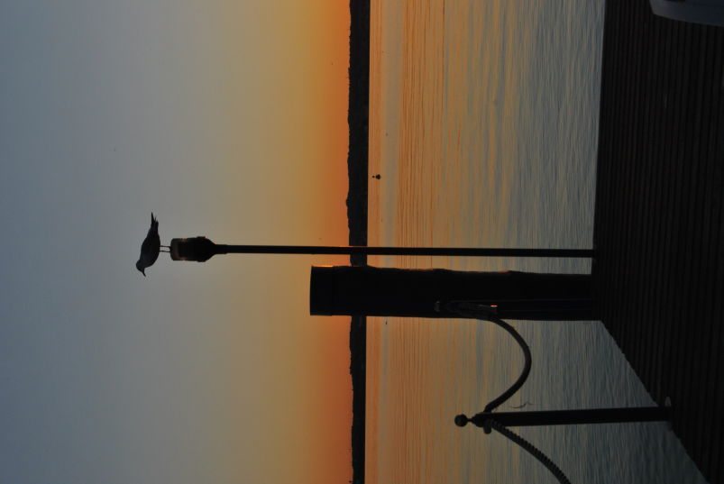 Sirmione - Una gallery dedicata alla Perla del Lago di Garda Sirmione - Una gallery dedicata alla Perla del Lago di Garda