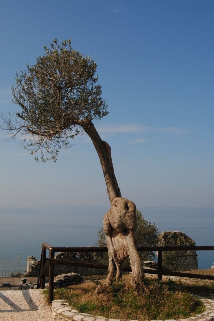 Sirmione - Una gallery dedicata alla Perla del Lago di Garda Sirmione - Una gallery dedicata alla Perla del Lago di Garda