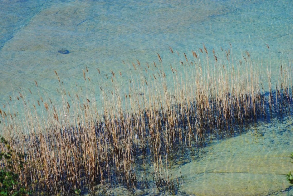 Sirmione - Una gallery dedicata alla Perla del Lago di Garda Sirmione - Una gallery dedicata alla Perla del Lago di Garda