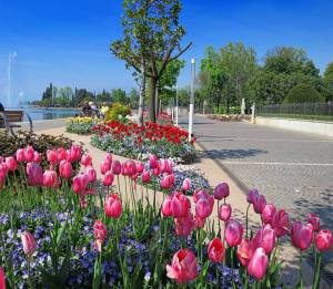 Le migliori foto del mese di Aprile del gruppo Facebook "Noi Amiamo il Lago di Garda" Le migliori foto del mese di Aprile del gruppo Facebook "Noi Amiamo il Lago di Garda"