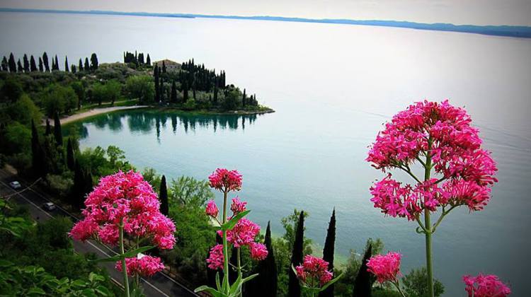 Selezione delle foto di Maggio 2015 postate nel gruppo facebook "noi amiamo il Lago di Garda" Selezione delle foto di Maggio 2015 postate nel gruppo facebook "noi amiamo il Lago di Garda"