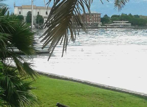 Selezione delle foto di Maggio 2015 postate nel gruppo facebook "noi amiamo il Lago di Garda" Selezione delle foto di Maggio 2015 postate nel gruppo facebook "noi amiamo il Lago di Garda"