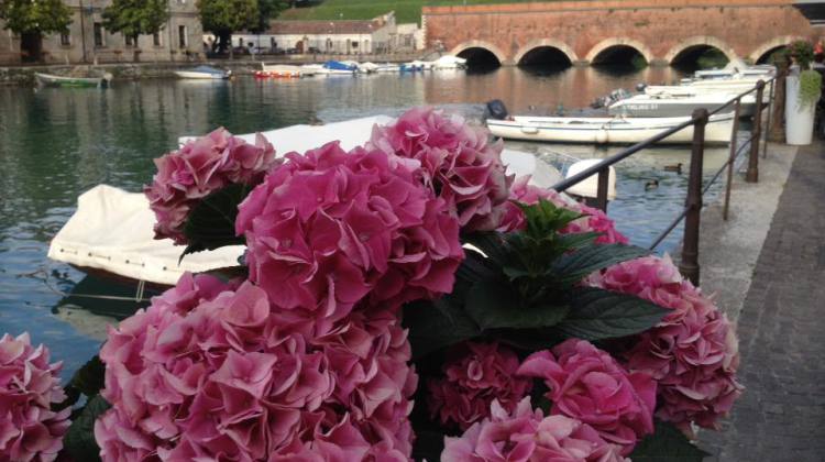 Selezione delle foto di Maggio 2015 postate nel gruppo facebook "noi amiamo il Lago di Garda" Selezione delle foto di Maggio 2015 postate nel gruppo facebook "noi amiamo il Lago di Garda"