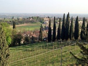 Le colline di Custoza