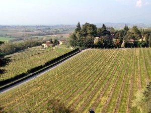 La colline di Custoza