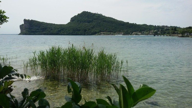 Il Lago di Garda visto da Facebook nel mese di Giugno Il Lago di Garda visto da Facebook nel mese di Giugno