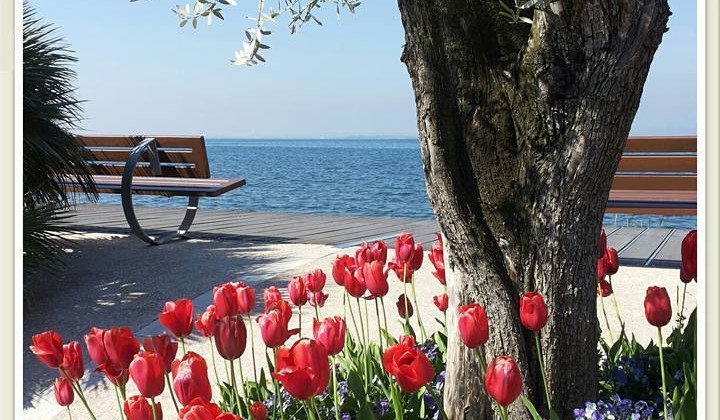 Il Lago di Garda visto da Facebook nel mese di Giugno Il Lago di Garda visto da Facebook nel mese di Giugno