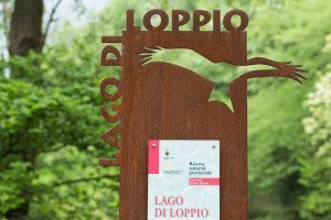 Lago di Loppio: una visita all'isola di S. Andrea 