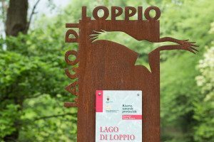 Lago di Loppio
