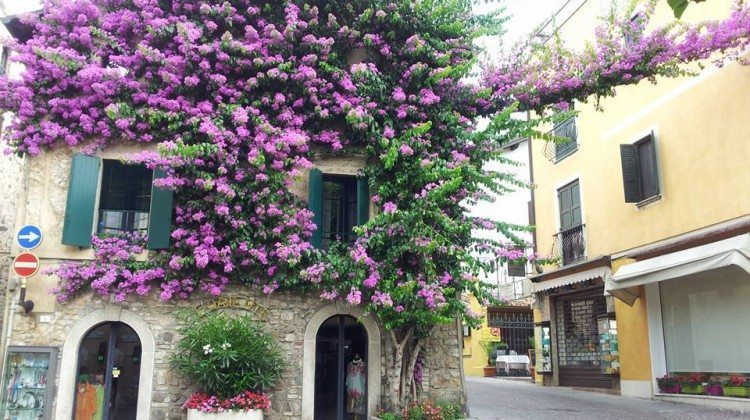 Il Lago di Garda visto da Facebook nel mese di Giugno Il Lago di Garda visto da Facebook nel mese di Giugno
