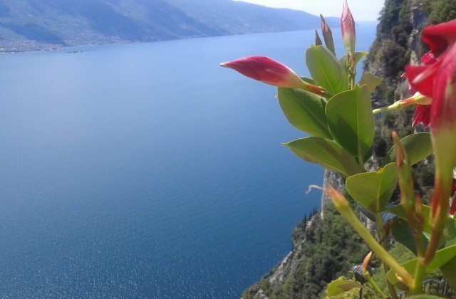 Il Lago di Garda visto da Facebook nel mese di Giugno Il Lago di Garda visto da Facebook nel mese di Giugno
