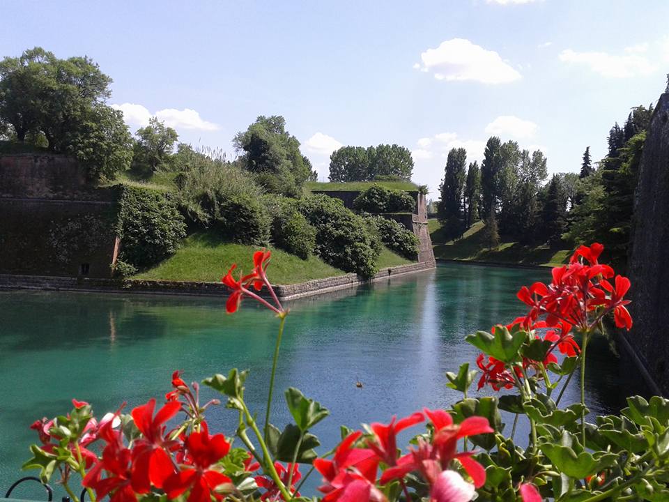 Album fotografico del Lago di Garda nel mese di Luglio Album fotografico del Lago di Garda nel mese di Luglio