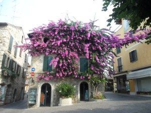 Cosa vedere a Sirmione, la perla del Lago di Garda in una giornata Cosa vedere a Sirmione, la perla del Lago di Garda in una giornata