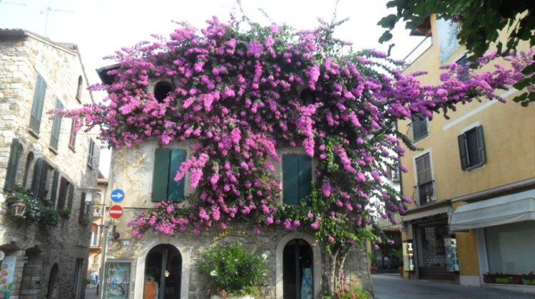 La foto di Agosto 2015 del Lago di Garda La foto di Agosto 2015 del Lago di Garda