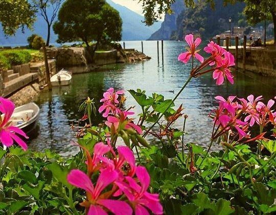 Il Lago di Garda visto dagli utenti Facebook Il Lago di Garda visto dagli utenti Facebook