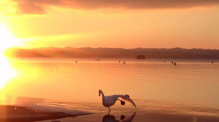 Le foto più belle del Lago di Garda scattate nel mese Novembre Le foto più belle del Lago di Garda scattate nel mese Novembre