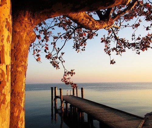 Le foto più belle del Lago di Garda scattate nel mese Novembre Le foto più belle del Lago di Garda scattate nel mese Novembre