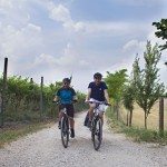 Le Terre del Custoza in Bicicletta 