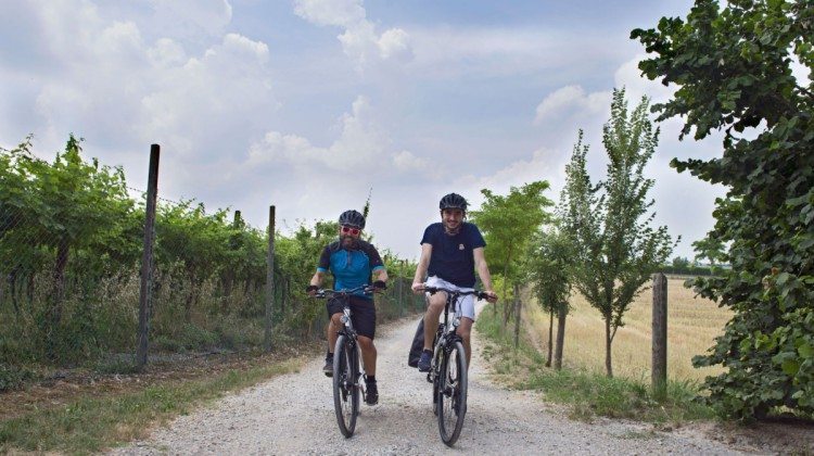 Le Terre del Custoza in Bicicletta Le Terre del Custoza in Bicicletta