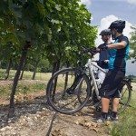 terre del custoza