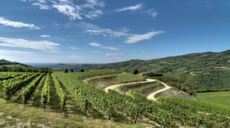 Alla scoperta della Valpolicella in bicicletta Alla scoperta della Valpolicella in bicicletta