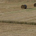 percorso delle Colline del Risorgimento