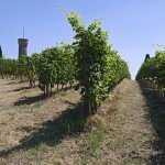 percorso delle Colline del Risorgimento