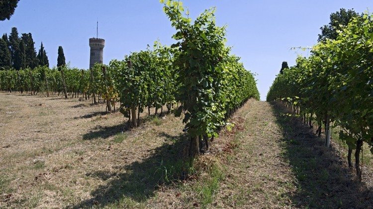 Sulle Colline del Risorgimento Italiano In Bicicletta Sulle Colline del Risorgimento Italiano In Bicicletta