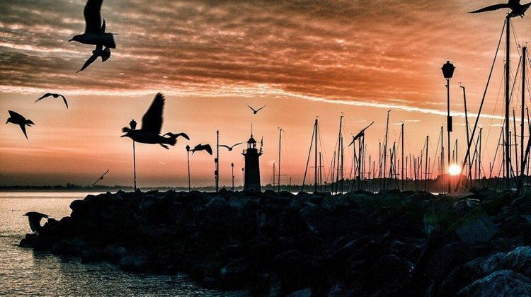 Raccolta fotografica delle immagini postate su Facebook nel mese di Gennaio Raccolta fotografica delle immagini postate su Facebook nel mese di Gennaio