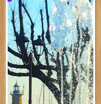 Il Lago di garda nel mese di Dicembre visto dagli utenti Facebook Il Lago di garda nel mese di Dicembre visto dagli utenti Facebook