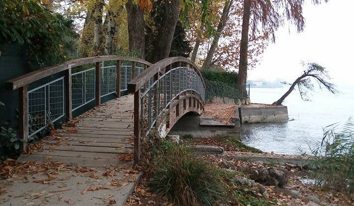 Raccolta fotografica delle immagini postate su Facebook nel mese di Gennaio Raccolta fotografica delle immagini postate su Facebook nel mese di Gennaio