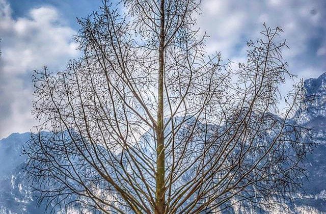 Raccolta fotografica delle immagini postate su Facebook nel mese di Gennaio Raccolta fotografica delle immagini postate su Facebook nel mese di Gennaio