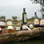 Mtb sul lago di garda