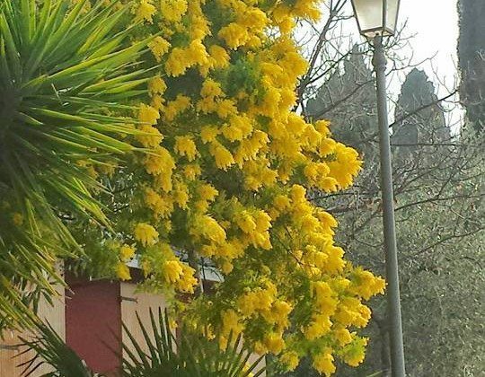 Le fotografie del Lago di Garda postate su Facebook nel mese di Febbraio Le fotografie del Lago di Garda postate su Facebook nel mese di Febbraio