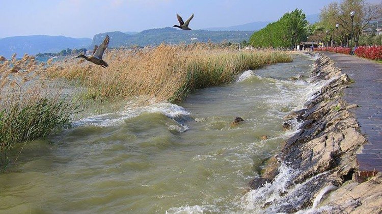 Le fotografie del Lago di Garda postate su Facebook nel mese di Febbraio Le fotografie del Lago di Garda postate su Facebook nel mese di Febbraio