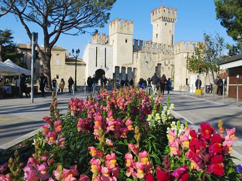 Le fotografie del Lago di Garda postate su Facebook nel mese di Febbraio Le fotografie del Lago di Garda postate su Facebook nel mese di Febbraio