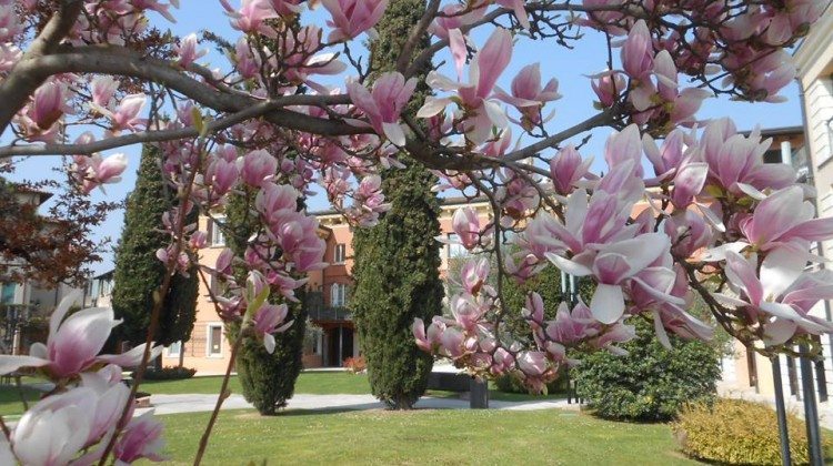 Le fotografie del Lago di Garda nel mese di Marzo Le fotografie del Lago di Garda nel mese di Marzo