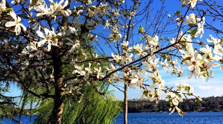 Le fotografie del Lago di Garda nel mese di Marzo Le fotografie del Lago di Garda nel mese di Marzo