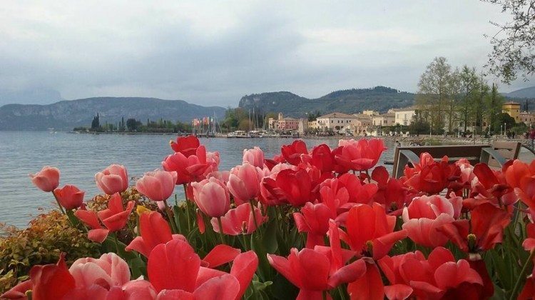 Aprile ... la selezione dal gruppo Facebook noi amiamo il Lago di Garda Aprile ... la selezione dal gruppo Facebook noi amiamo il Lago di Garda