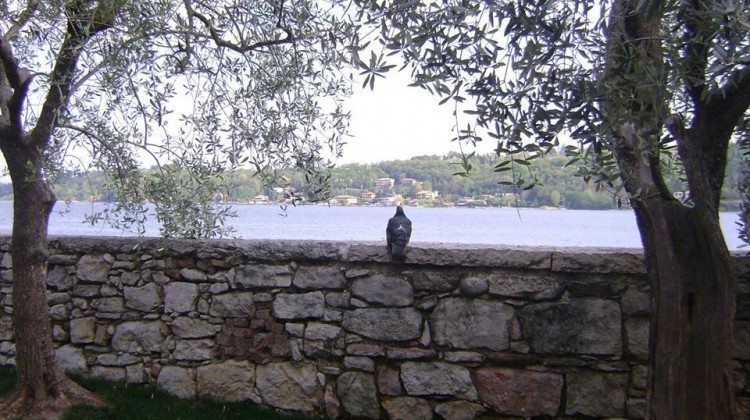 Aprile ... la selezione dal gruppo Facebook noi amiamo il Lago di Garda Aprile ... la selezione dal gruppo Facebook noi amiamo il Lago di Garda