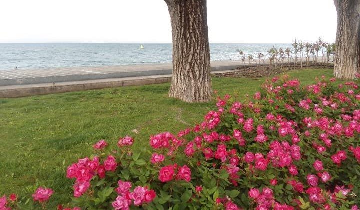 Le fotografie del Lago di Garda viste dagli utenti Facebook Le fotografie del Lago di Garda viste dagli utenti Facebook