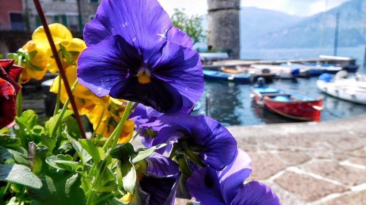 Le fotografie del Lago di Garda viste dagli utenti Facebook Le fotografie del Lago di Garda viste dagli utenti Facebook
