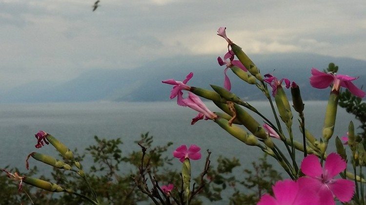 Il Lago di Garda fotografato da chi lo Ama Il Lago di Garda fotografato da chi lo Ama