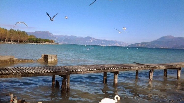 Il Lago di Garda fotografato da chi lo Ama Il Lago di Garda fotografato da chi lo Ama