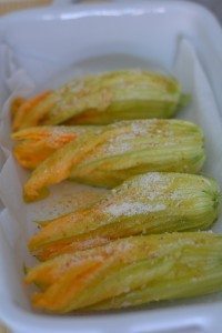 fiori di zucca