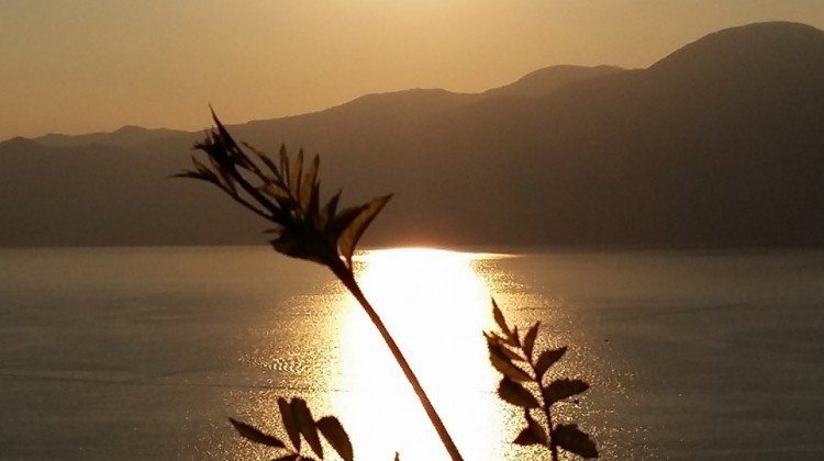 L'estate sul Lago di Garda vista dagli utenti Facebook L'estate sul Lago di Garda vista dagli utenti Facebook