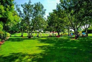 Parco Acquatico Cavour